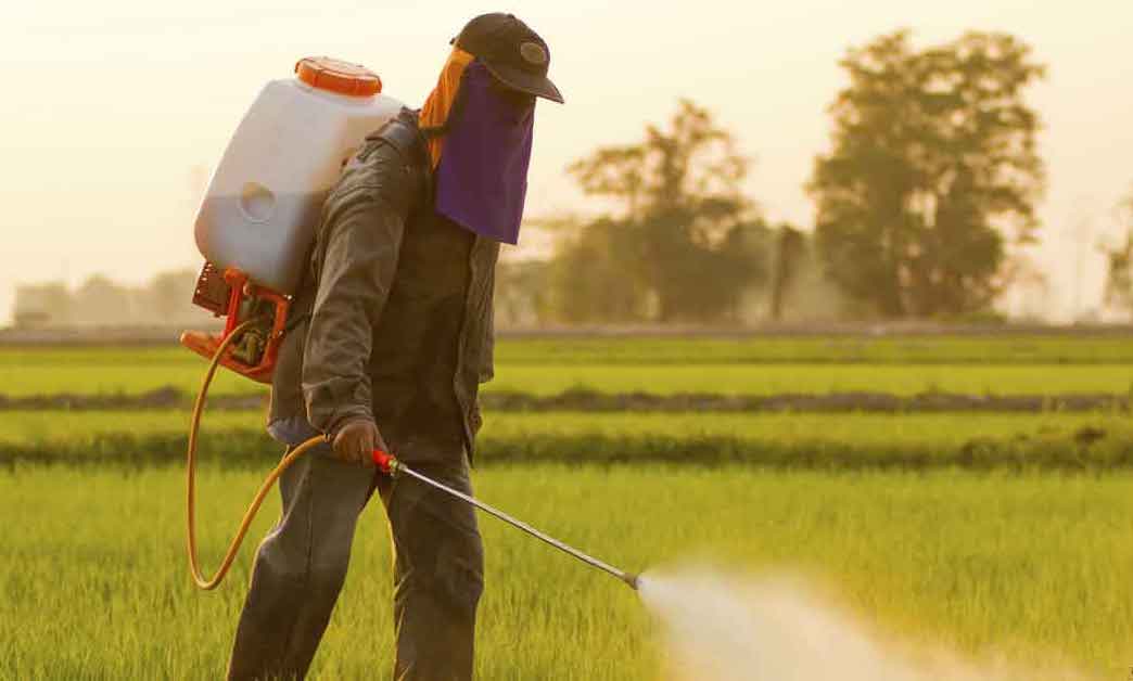 Pestisit Güvenli Bir Şekilde Nasıl Uygulanır?