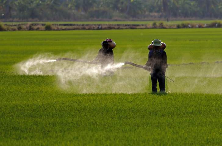 Tarımda Pestisit Kullanımı Nasıl Olmalıdır?