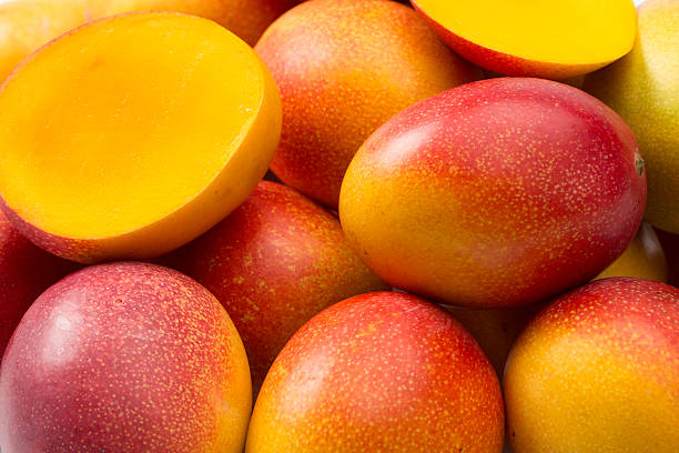 Türkiye’de Mango Yetiştiriciliği Nasıl Yapılır?