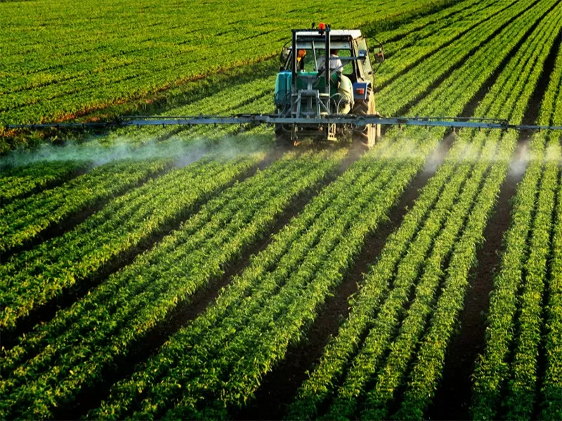 Pestisitler Nedir ? Hangi Amaçla Kullanılır ? Doğaya Olan Yararları ve Zararları Nelerdir ?