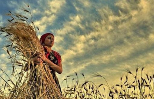 15 Ekim Dünya Kadın Çiftçiler Gününde Dikkat Çeken Detaylar